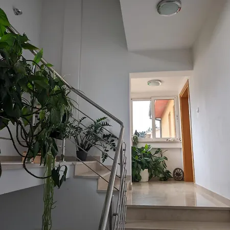 Maison d'hôtes Vesna